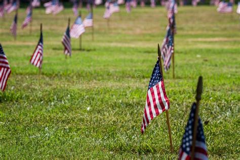 Us Flags In A Veterans Cemetery On Veterans Day Stock Image Image Of