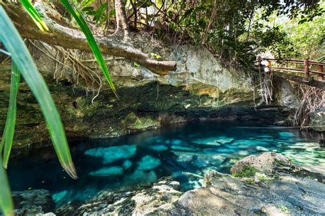 Cenote Cristalino All You Need To Know