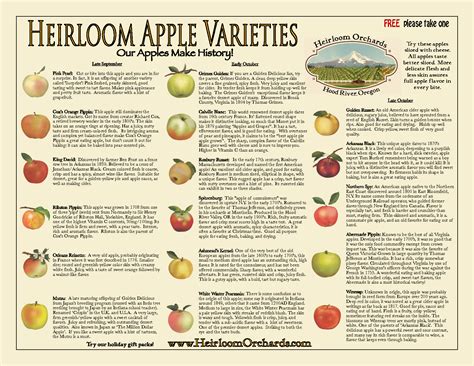 Heirloom Apple Varieties A Small Selection Variety Id Apples