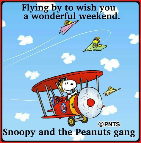 Weekend Charlie Brown Quotes Charlie Brown And Snoopy Snoopy Images