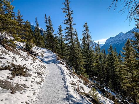 Tunnel Mountain Hike In Banff National Park Travel Banff Canada