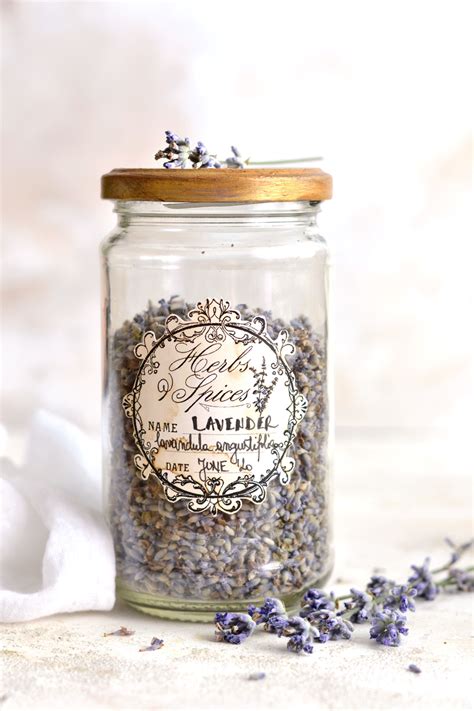 Diy Herbs And Spices Apothecary Jars Dreams Factory