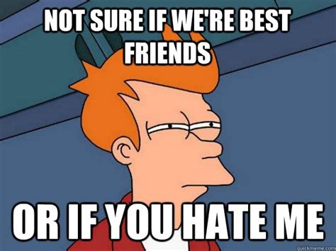 not sure if we re best friends or if you hate me futurama fry quickmeme