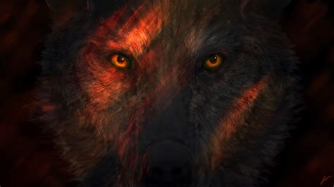 1366x768 Wild Wolf Eyes 1366x768 Resolution Hd 4k Wallpapers Images