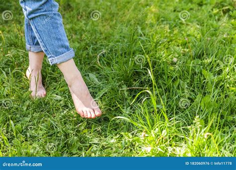 Two Beautiful Female Feet Walking On Grass In Sunny Summer Morning