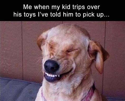 Funny Dog Laughing Meme Image Quotesbae