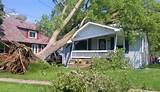 Photos of Does Home Insurance Cover Tree Removal