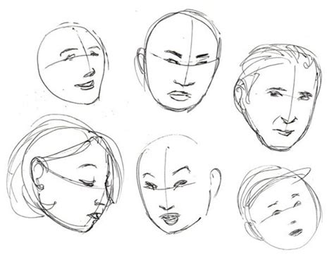 Drawing faces begins by understanding basic proportions. Ultimate Resource Guide For All Your Drawing Projects