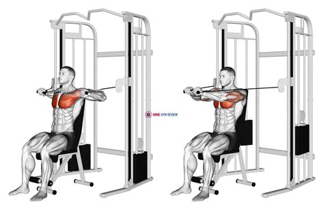 Cable Seated Chest Press Home Gym Review