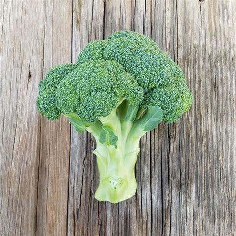 Broccoli Crowns Toppled Barn Farm