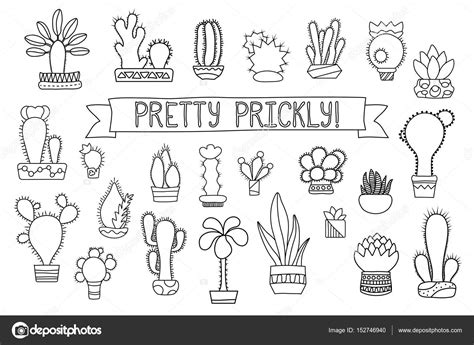 Kaktus ausmalbild malvorlage comics malvorlagen. Clipart: succulent line art | Thin line cactus and ...