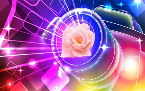 Hd Vibrant Pink Rose Wallpaper Download Free 90105