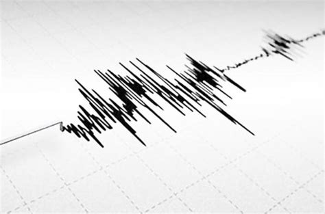 İstanbul valisi yerlikaya, deprem nedeniyle. Muğla'da deprem - Son Dakika | Gündem Haberleri