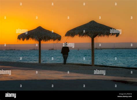 Lady Watching The Sunset In La Paz Bay In Baja California Sur Mexico