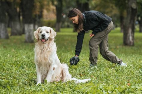 Hat der geliebte hund blut im stuhl reagieren viele hundebesitzer zunächst panisch. Stuhlgang und Kot beim Hund: Gesundheit / Futterqualität ...
