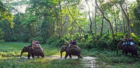 Top Destinations For Jungle Safari Tour In Nepal Wildlife Tour