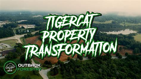 Tigercat Mulching Acres Of Overgrowth Youtube