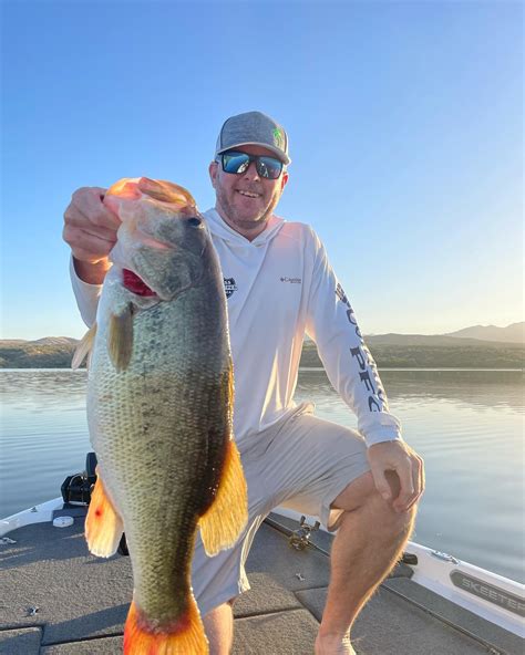 Best Arizona Summer Bass Fishing Baits Addicted Bass Guides