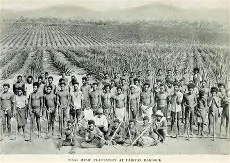 Pin On Papua New Guinea History