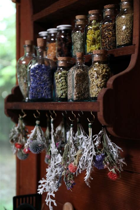 Creating Your Home Herbal Apothecary Herbalism Herbal Apothecary