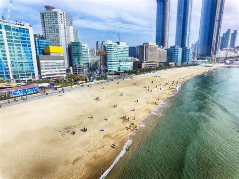 Haeundae Beach Busan South Korea Editorial Stock Image Image Of