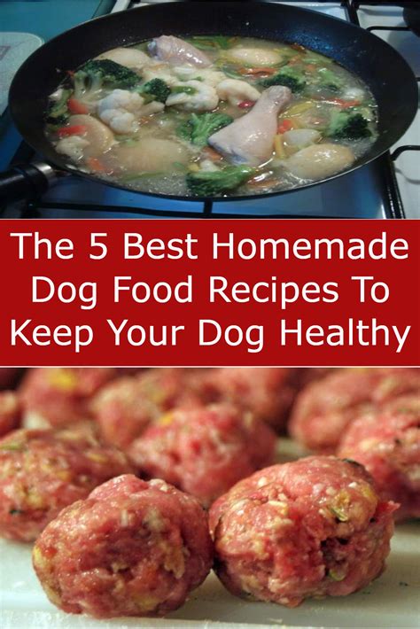 The 5 Best Homemade Dog Food Recipes To Keep Your Dog Healthy Healthy