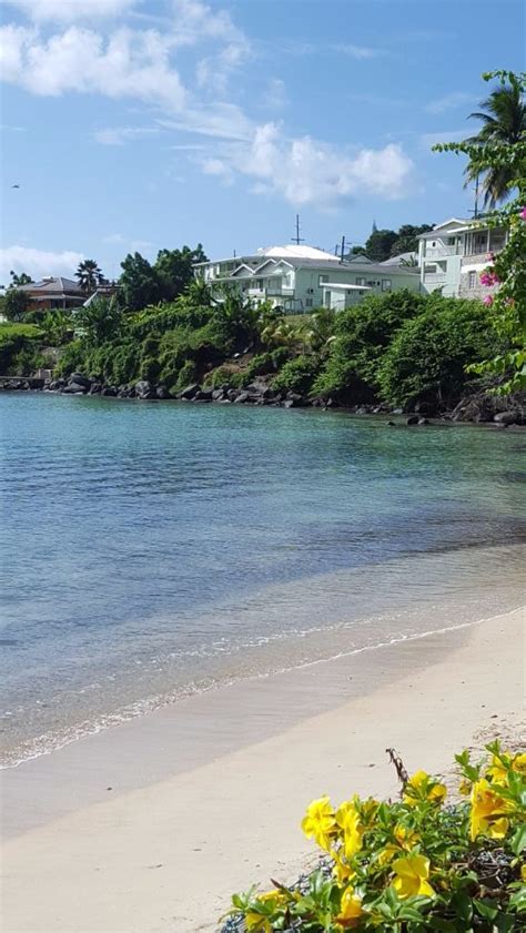Grand Anse Beach Palace Hotel Updated 2017 Prices And Reviews Grenada