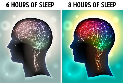 What Happens To Your Body If You Sleep 8 Hours Every Day Promellume