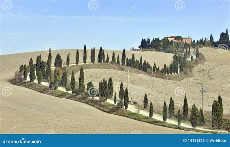 Tuscan Villa And Cypress Trees Stock Image Image Of Panoramic Villa