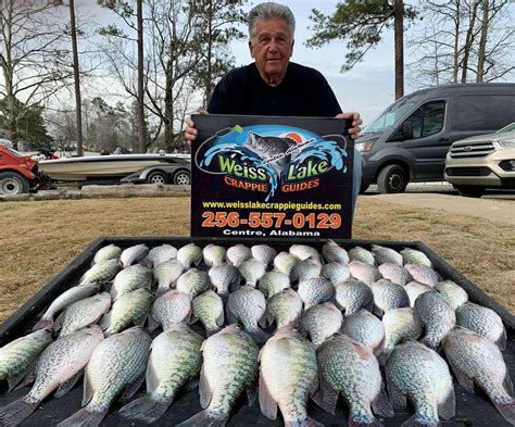 Weiss Lake Crappie Guides 2021 Photo Gallery Photo Gallery