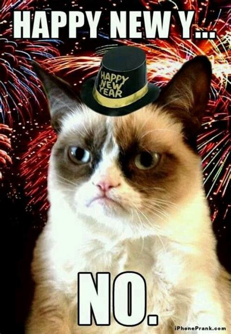 Grumpy New Year Cheers No Funny Grumpy Cat Memes Grumpy Cat