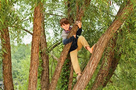 Happy Boy Climbing Up Tree By Jess Lewis Stocksy United