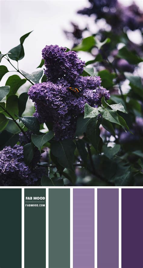 Purple Color Combination The Color System Material Design Finding A