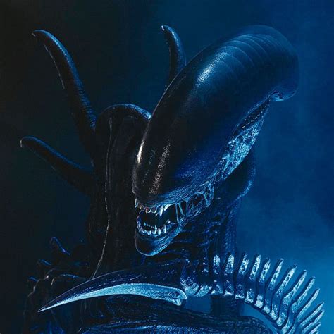 The Xenomorph Is Gone Forever Says Ridley Scott Vulture