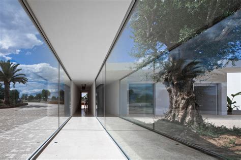 Minimalist White House With Glass Walkway In Olive Grove
