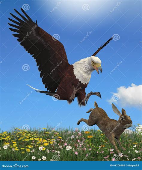 Eagle Catches Fox With Rabbit Thaipolicepluscom
