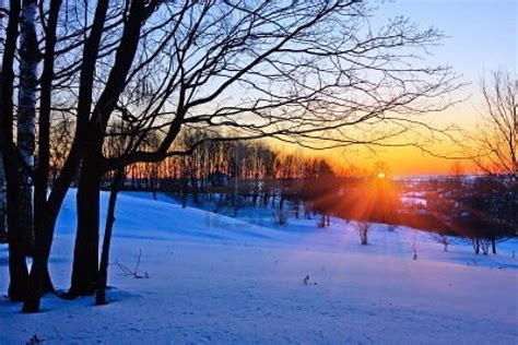 Early Winter Morning Winter Sunset Winter Forest Nature Photos