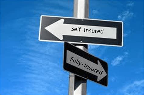 Scheduled airline failure insurance (safi): Self-insurance - Using telematics in place of insurance ...