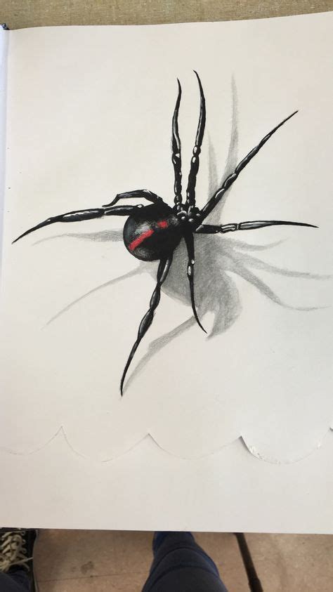 Watercolor Spider Black Widow Spider Spider Art