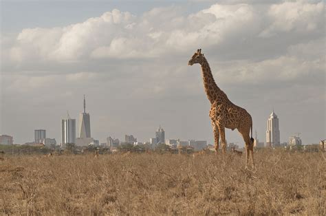 Eight Of The Top Attractions In Nairobi Kenya