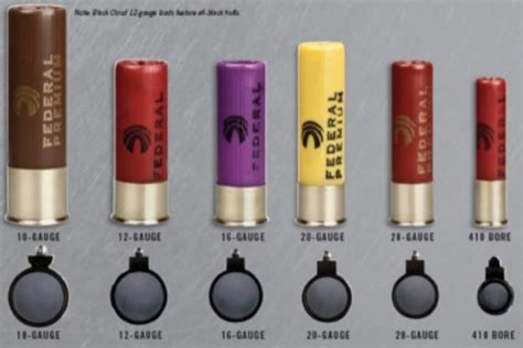 Buckshot Sizes 12 Gauge Ammo Size Chart Shotgun Shot Size Chart 20223