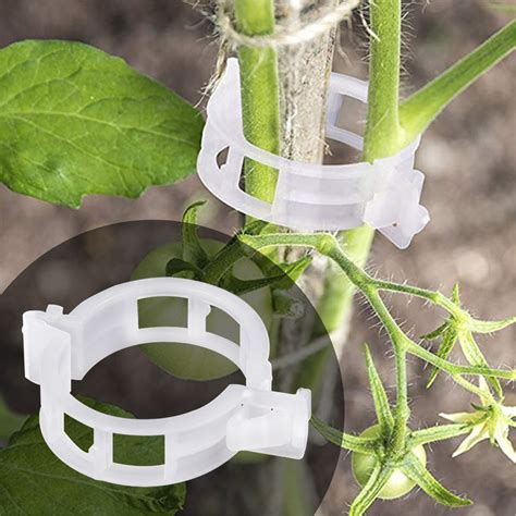 10050pcs Plastic Plant Support Clips For Tomato Hanging Trellis Vine