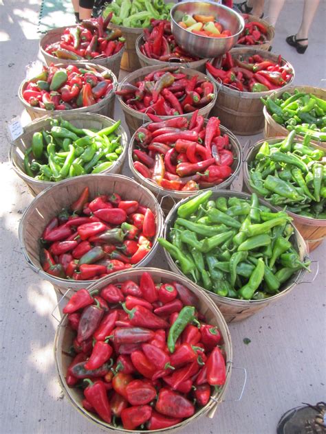 4 cups stock 1 tablespoon mexican oregano what is mexican oregano? New Mexico Chile reigns in Santa Fe and especially at ...