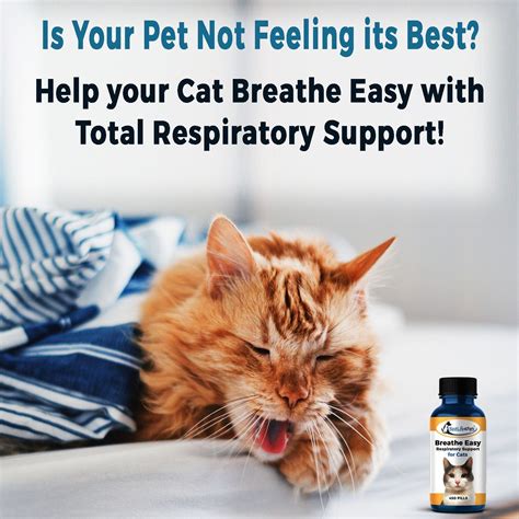 Breathe Easy Respiratory Support For Cats Eases Cough Runny Nose And