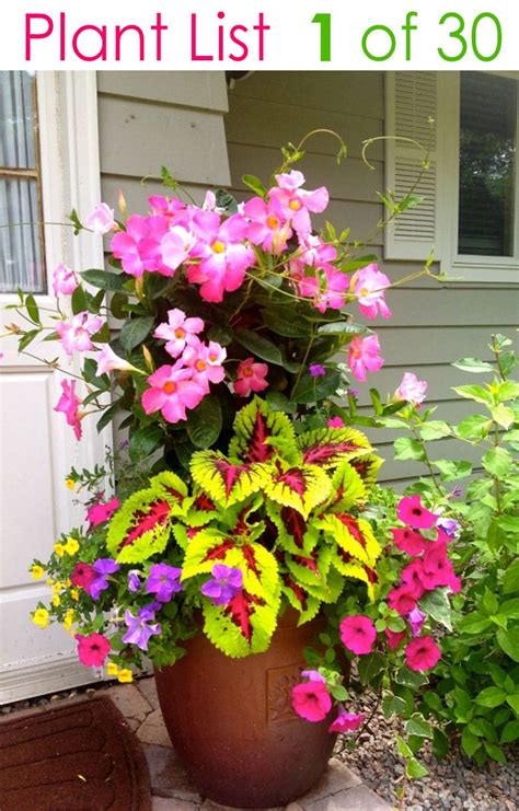 Colorful Mixed Pots Flower Gardening With 30 Plant Lists A Piece Of