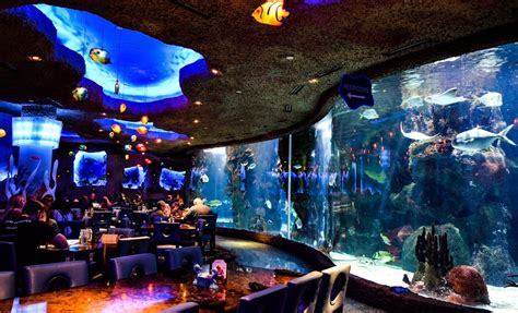 Aquarium An Underwater Dining Adventure In Nashville