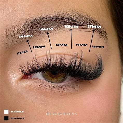 Vavalash Lashes Of The World On Instagram Lash Map For Mixed D Curl
