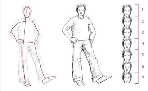Basic Figure Drawing Proportions Figure Drawing Tutorial Drawing