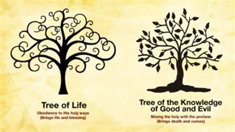 Tree Of The Knowledge Of Good And Evil Youtube