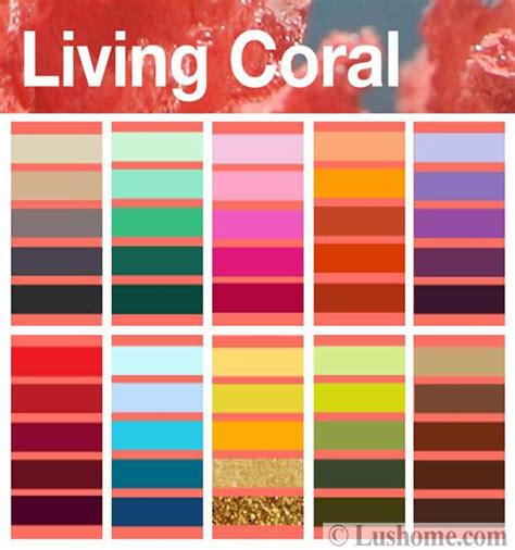Colors That Go Well With Coral